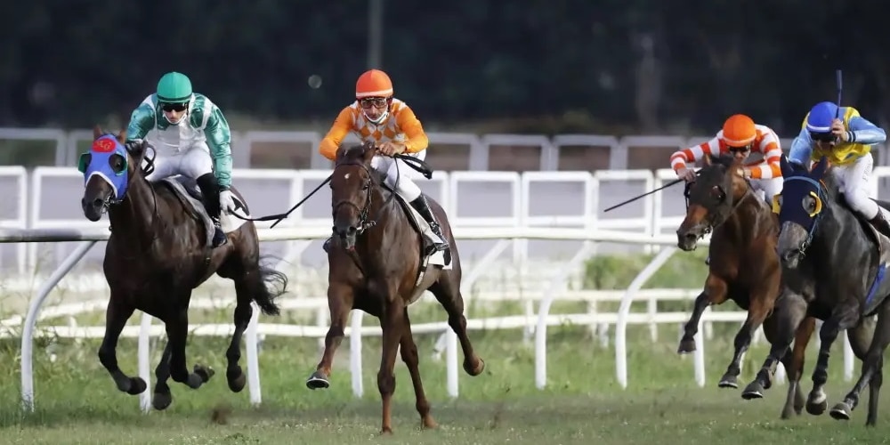 Apostas em corridas de cavalos: um fenômeno Liderando a Copa do Mundo de Dubai, a vida é boa.  US Bay Triumph a 1,75 no Sisal