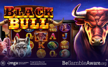 Balck Bull