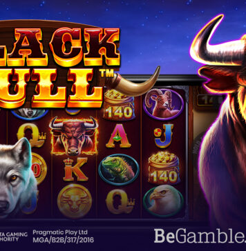 Balck Bull